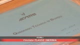 16/05/2008 - Attentato alla sicurezza aerea