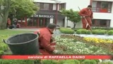 Bimbi Basiglio tornano a casa