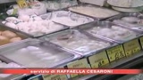 19/05/2008 - L'Ue lancia l'allarme olio ucraino