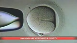 Fecondazione, nuove linee guida