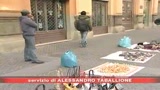 20/05/2008 - Sicurezza, Ddl pronto entro luglio