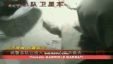 Ecatombe in Cina