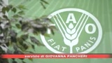 Roma, domani il vertice Fao