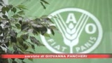 Vertice Fao, Ahmadinejad a Roma
