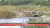 04/06/2008 - La monnezza di Foggia 