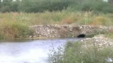 04/06/2008 - Enorme discarica abusiva a Foggia
