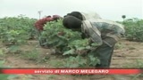 Giornata contro lavoro minorile