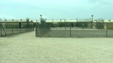 Processato l'autista di Bin Laden