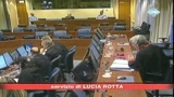 Karadzic si difende