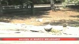 Aumentano gli incidenti stradali
