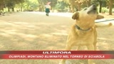 Il Tribunale per gli animali