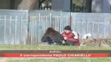 Napoli, fermato spacciatore 13enne