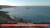 La tartaruga Carretta Carretta