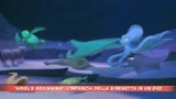Alla scoperta della piccola Sirenetta
