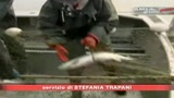 30/08/2008 - Sarah Palin, il barracuda che viene dal freddo