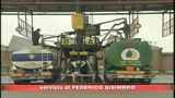 03/09/2008 - Federconsumatori: Il petrolio scende ma la benzina no