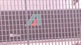 10/09/2008 - Alitalia, sindacati critici su possibile esito positivo