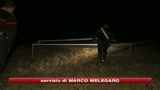 Benevento, caccia ai cani randagi che hanno sbranato bimbo