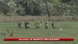 Rischia l'estinzione un mammifero su quattro