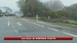 Scianto in auto, muore il leader della destra Haider