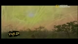 La battaglia di Kruger