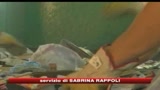 01/11/2008 - La raccolta differenziata diventa arte