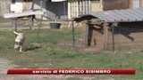 05/11/2008 - Roma, nomade drogato falcia 13 persone ad Acilia