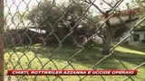 Chieti, rottweiler azzanna e uiccide operaio