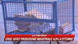 10/12/2008 - Giustizia, l'appello dei Presidenti