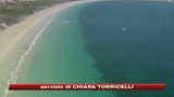 Gli squali terrorizzano l'Australia