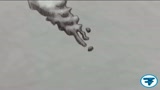 Future Film Festival: Idiots and Angels, di Bill Plympton