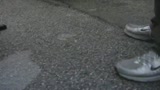 Le voci di Gomorra