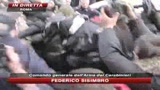 Guidonia, preso il branco. La folla tenta il linciaggio