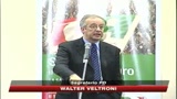 Veltroni: Parole Di Pietro inaccettabili