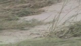 Ondata di maltempo in tutta Italia, 2 morti in Sicilia