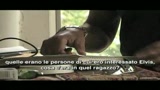 Bruce Springsteen si racconta a SKY TG24 Parte/4