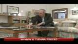 Testamento biologico, Englaro: Testo assurdo