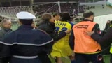  I viola volano al quarto posto grazie a Mutu
