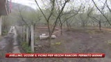 Avellino, uccide il vicino per vecchi rancori