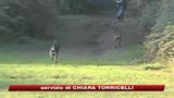 Cani e padroni, nuove regole dal ministero