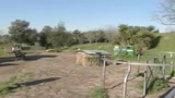 06/03/2009 - Primavalle, confermata detenzione in carcere per Racz