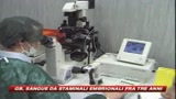 Sangue artificiale da staminali forse realtà tra 3 anni