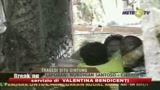 27/03/2009 - Indonesia, crolla diga vicino Giakarta: almeno 50 morti