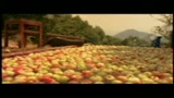 PROMETTILO! - il trailer
