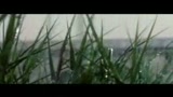 TRE METRI SOPRA IL CIELO - il trailer
