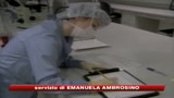 Fecondazione, la Consulta boccia la legge 40