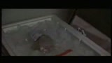 RAT RACE - il trailer