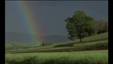 ESSERE E AVERE - il trailer