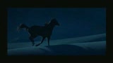 L'UOMO CHE SUSSURRAVA AI CAVALLI - il trailer