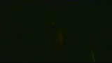 OUT OF SIGHT - il trailer